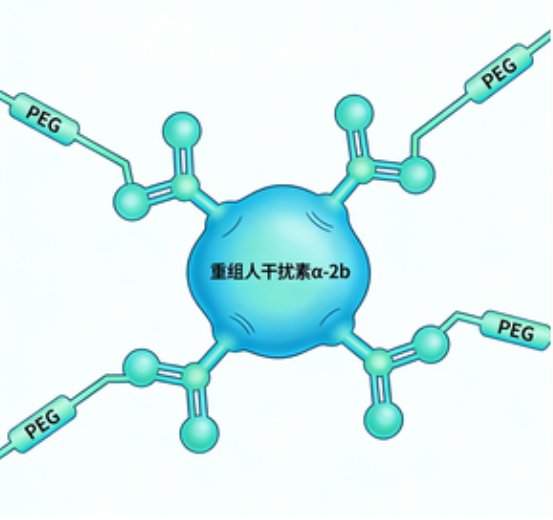 PEG修饰药物&amp;中间体定制流程是怎样的？要点解析