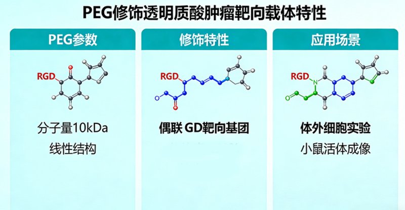 PEG修饰多糖定制有哪些可选类型？
