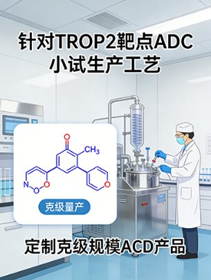 ADC抗体-药物偶联物定制｜Sur-Release公司