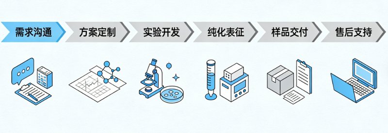 ADC抗体-药物偶联物定制｜Sur-Release公司