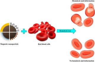脂质体安全性评价+毒理研究一站式解决方案｜Sur-Release生物技术服务，赋能脂质体研发申报