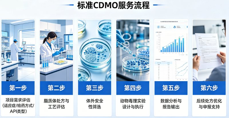 脂质体安全性评价+毒理研究一站式解决方案｜Sur-Release生物技术服务，赋能脂质体研发申报