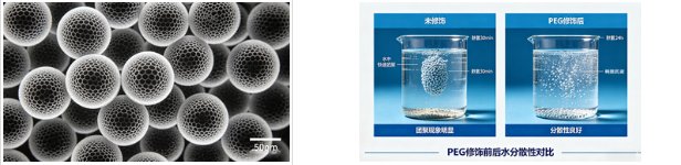 中空纳米材料表面修饰定制服务(Sur-Release生物技术服务