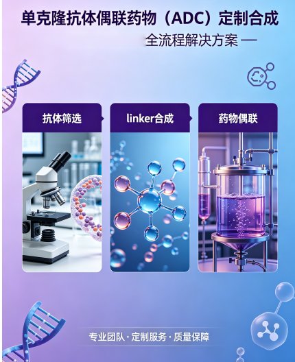 单克隆抗体偶联药物(ADC)定制合成 — Sur-Release生物技术服务