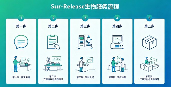 靶向磷脂材料的结构设计与功能化定制合成