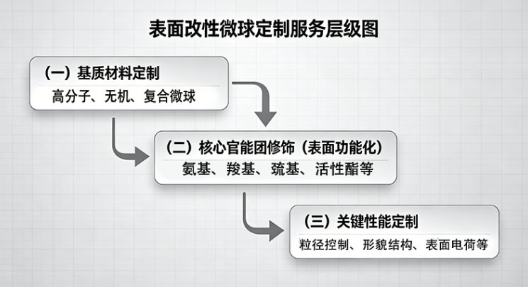 微球表面改性与官能团修饰定制(Sur-Release生物技术服务