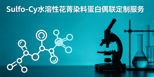 Sulfo-Cy水溶性花菁染料蛋白偶联定制服务｜Sur-Release生物技术服务