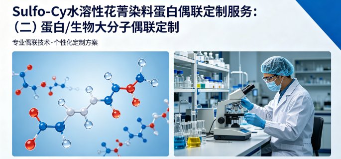 Sulfo-Cy水溶性花菁染料蛋白偶联定制服务｜Sur-Release生物技术服务