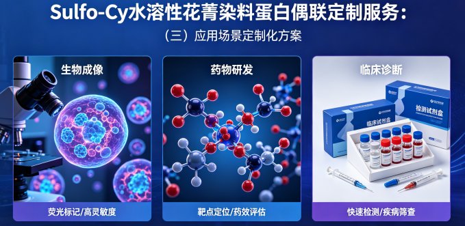 Sulfo-Cy水溶性花菁染料蛋白偶联定制服务｜Sur-Release生物技术服务