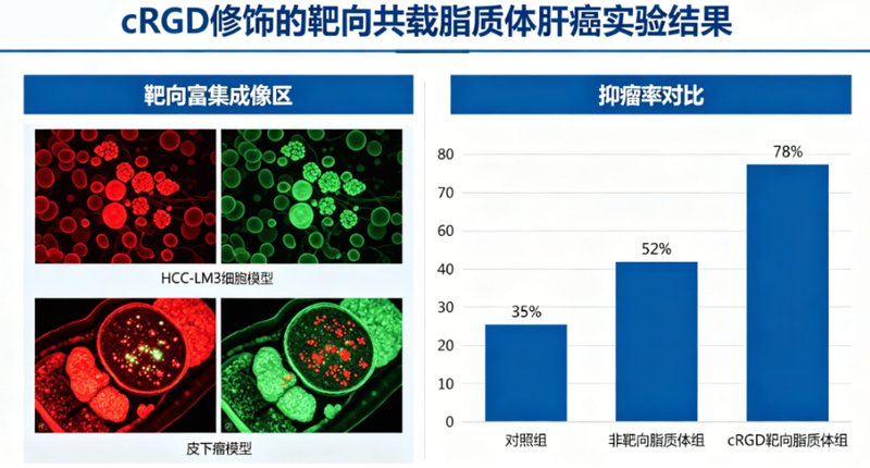 多西他赛 / 二氢卟吩e6温敏脂质体定制服务