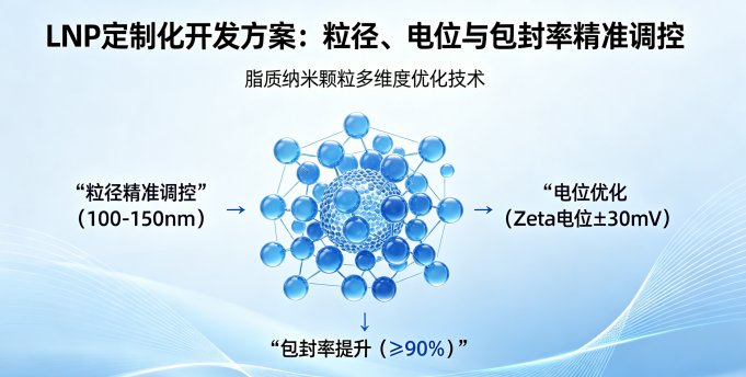 LNP定制化开发方案:粒径、电位与包封率精准调控