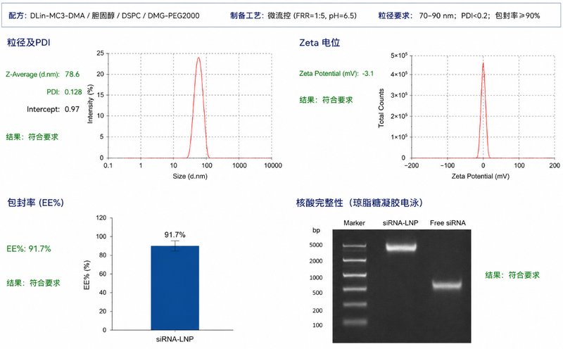 LNP定制化开发方案:粒径、电位与包封率精准调控