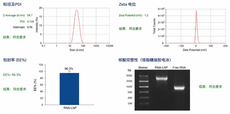 LNP定制化开发方案:粒径、电位与包封率精准调控