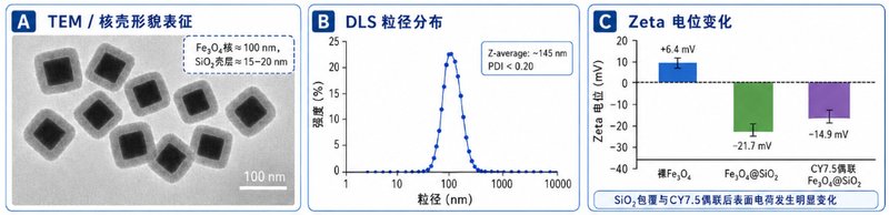 多形貌Fe₃O₄颗粒定制化制备:球形/棒状/立方体精准调控