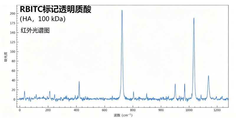 荧光标记多糖定制平台：罗丹明B / RBITC ——Sur-Release生物技术服务，赋予多糖可检测能力