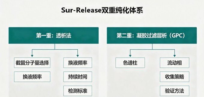 荧光标记多糖定制平台：罗丹明B / RBITC ——Sur-Release生物技术服务，赋予多糖可检测能力