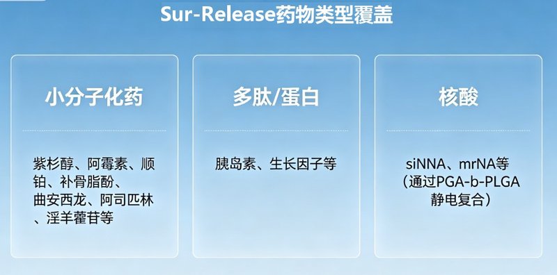 靶向载药微球定制化全链策略：包封率与缓释可调、靶向精准可控（Sur-Release生物技术服务
