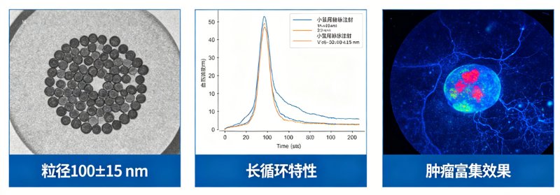 靶向载药微球定制化全链策略：包封率与缓释可调、靶向精准可控（Sur-Release生物技术服务