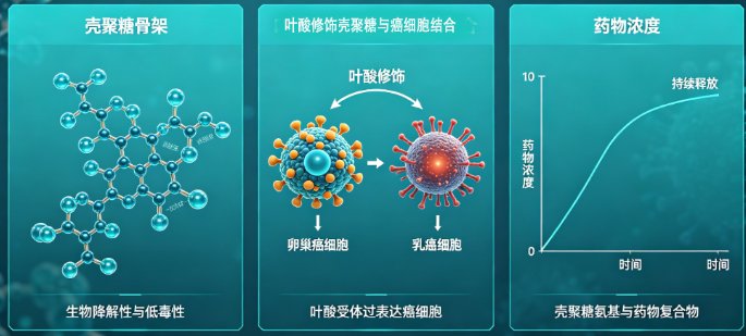 靶向载药微球定制化全链策略：包封率与缓释可调、靶向精准可控（Sur-Release生物技术服务