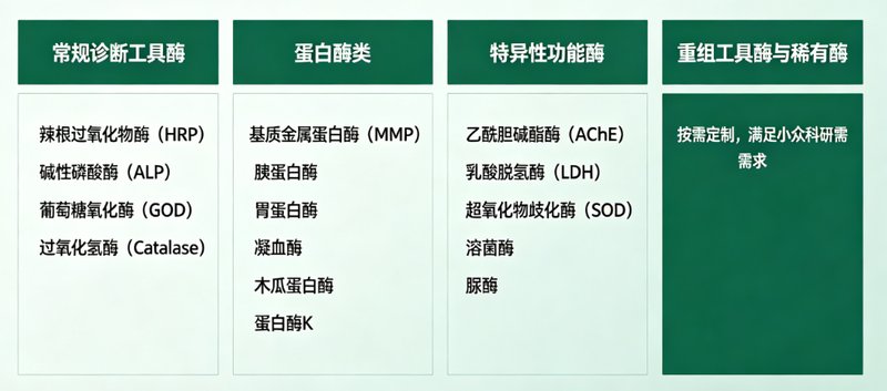 专业酶荧光标记定制服务|助力科研检测与成像研究 —— Sur-Release生物技术服务