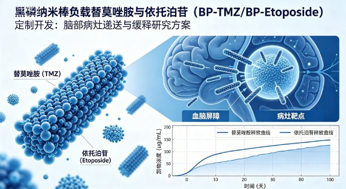 黑磷纳米棒负载替莫唑胺与依托泊苷(BP-TMZ/BP-Etoposide)定制开发:脑部病灶递送与缓释研究方案