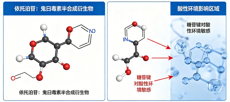 黑磷纳米棒负载替莫唑胺与依托泊苷(BP-TMZ/BP-Etoposide)定制开发:脑部病灶递送与缓释研究方案