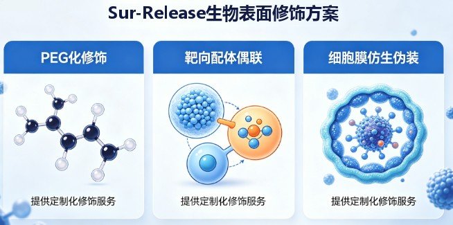 黑磷纳米棒负载替莫唑胺与依托泊苷(BP-TMZ/BP-Etoposide)定制开发:脑部病灶递送与缓释研究方案