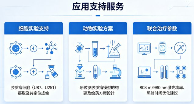 黑磷纳米棒负载替莫唑胺与依托泊苷(BP-TMZ/BP-Etoposide)定制开发:脑部病灶递送与缓释研究方案