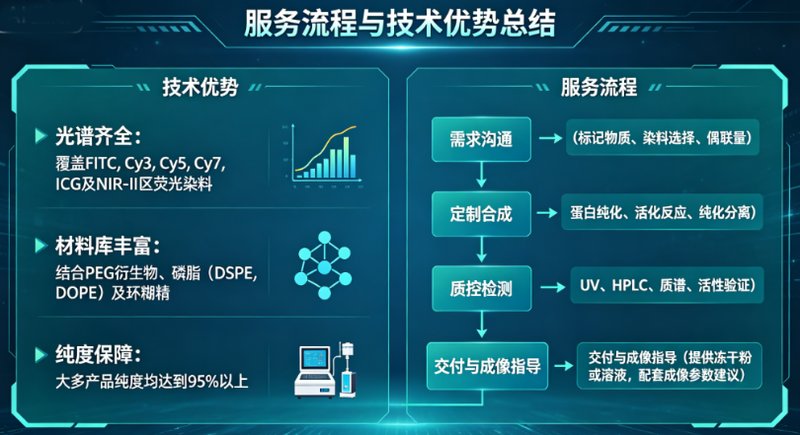 近红外荧光标记转铁蛋白/载脂蛋白定制与体内药代动力学检测服务