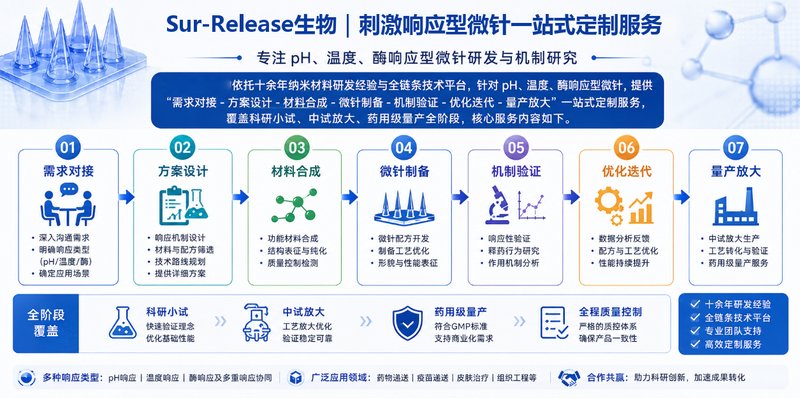 刺激响应型微针定制服务：pH、温度及酶响应释药体系开发