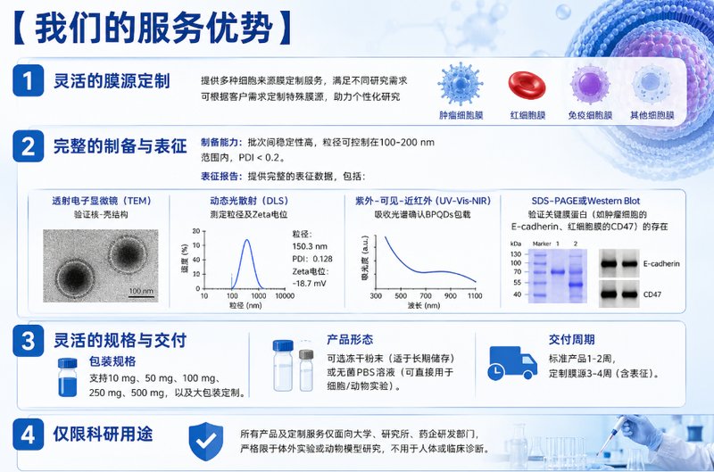 肿瘤细胞膜/红细胞膜修饰BPQDs定制开发