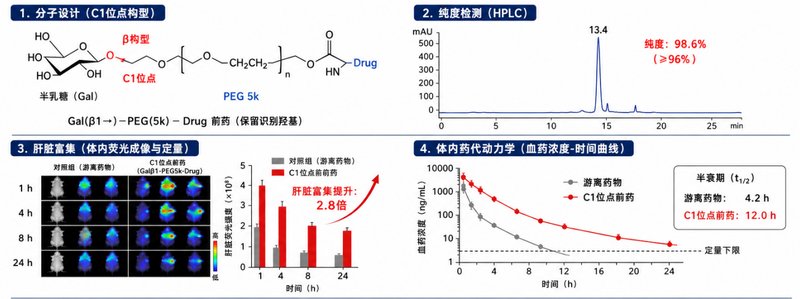 PEG-单糖定制:修饰位点与连接臂怎么选?|Sur-Release生物技术服务