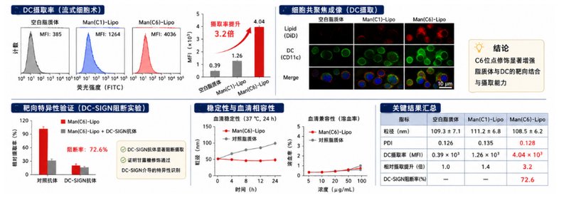 PEG-单糖定制:修饰位点与连接臂怎么选?|Sur-Release生物技术服务