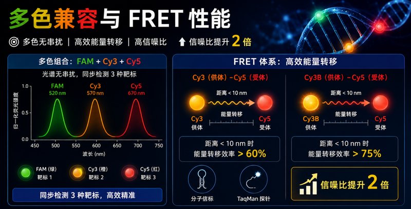 荧光素、Cy系列荧光标记核苷酸可控定制：标记性能如何优化？