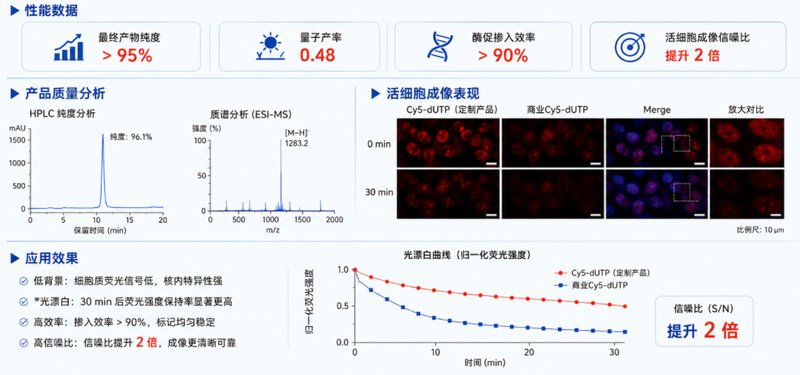 荧光素、Cy系列荧光标记核苷酸可控定制：标记性能如何优化？