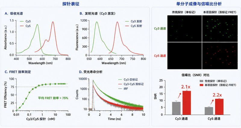 荧光素、Cy系列荧光标记核苷酸可控定制：标记性能如何优化？