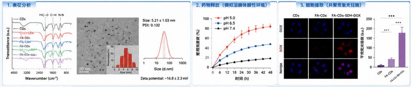 量子点表面配体功能化定制（PEG、–NH₂、–COOH、RGD、FA）