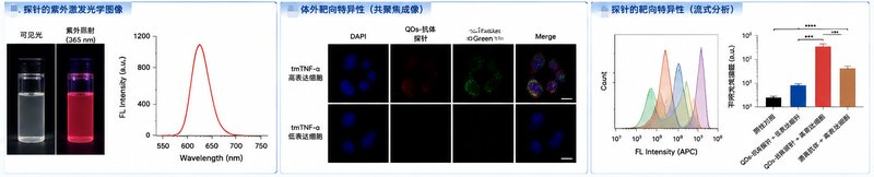 量子点表面配体功能化定制（PEG、–NH₂、–COOH、RGD、FA）