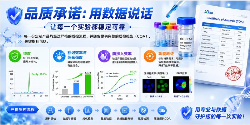荧光核苷酸标记定制方案怎么选?Cy3、Cy5、FAM、HEX应用参考