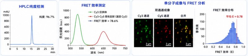 荧光核苷酸标记定制方案怎么选?Cy3、Cy5、FAM、HEX应用参考