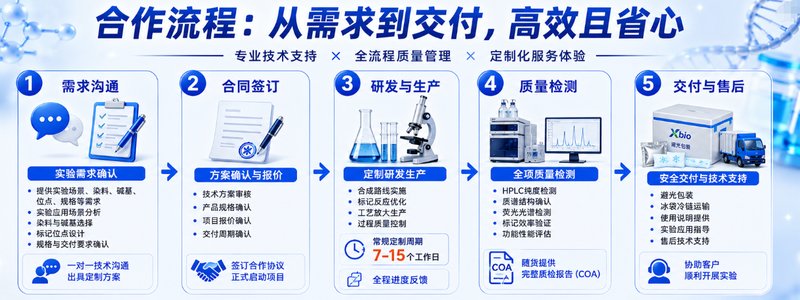 荧光核苷酸标记定制方案怎么选?Cy3、Cy5、FAM、HEX应用参考