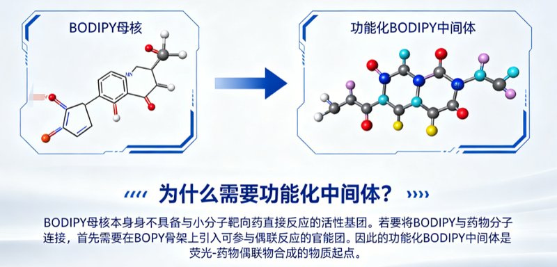 BODIPY荧光标记小分子靶向药中间体的定制合成与修饰