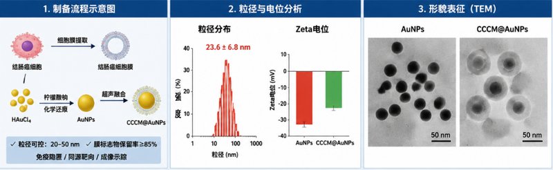 纳米金载药定制(小分子/siRNA/蛋白)——Sur-Release生物技术服务