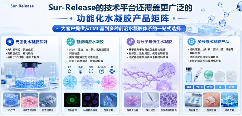 羧甲基纤维素CMC水凝胶定制｜光交联、自修复网络按需开发｜Sur-Release生物技术服务