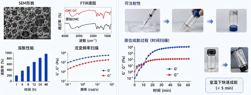 羧甲基纤维素CMC水凝胶定制｜光交联、自修复网络按需开发｜Sur-Release生物技术服务