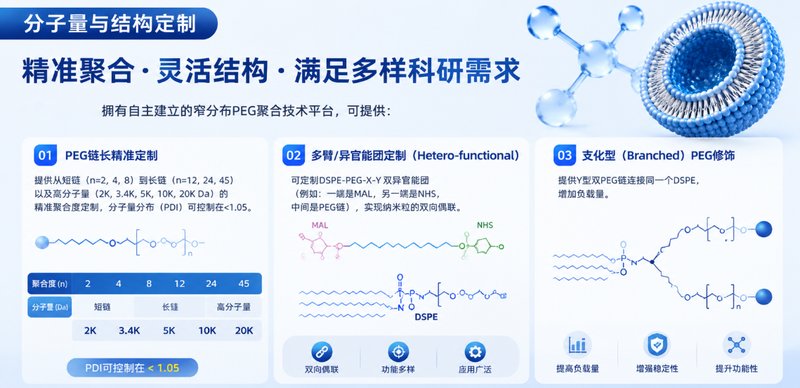 DSPE-PEG末端官能团结构修饰与定制解决方案