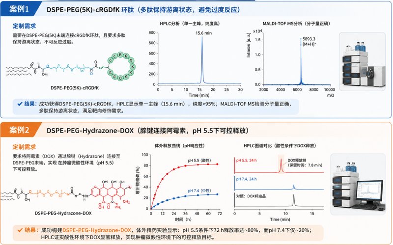 DSPE-PEG末端官能团结构修饰与定制解决方案