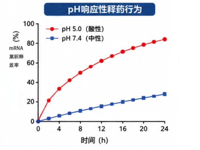 PEG磷脂NHS活性酯定制服务|纳米载体修饰与偶联解决方案