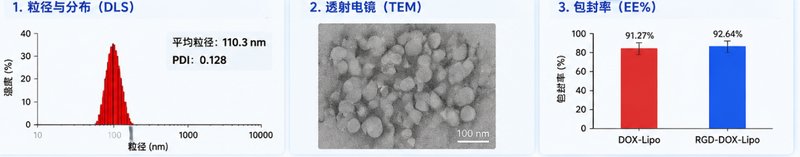 PEG-靶向肽多维定制服务|面向脂质体与纳米递送体系构建