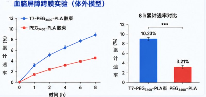 PEG-靶向肽多维定制服务|面向脂质体与纳米递送体系构建